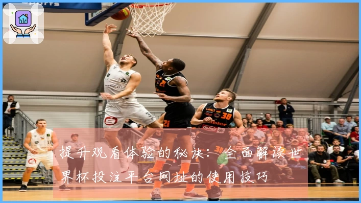 提升观看体验的秘诀：全面解读世界杯投注平台网址的使用技巧