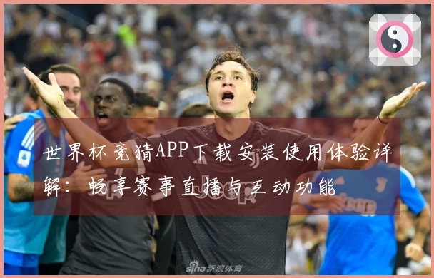 世界杯竞猜APP下载安装使用体验详解：畅享赛事直播与互动功能