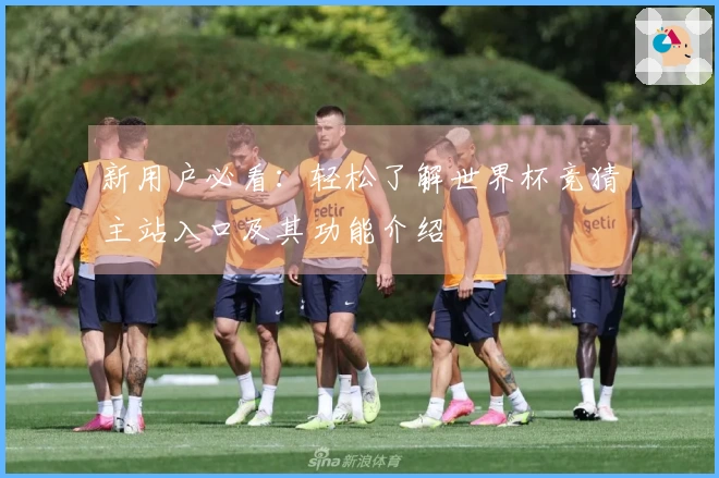 新用户必看：轻松了解世界杯竞猜主站入口及其功能介绍