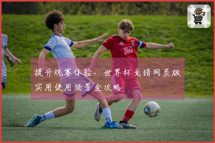 提升观赛体验，世界杯竞猜网页版实用使用场景全攻略