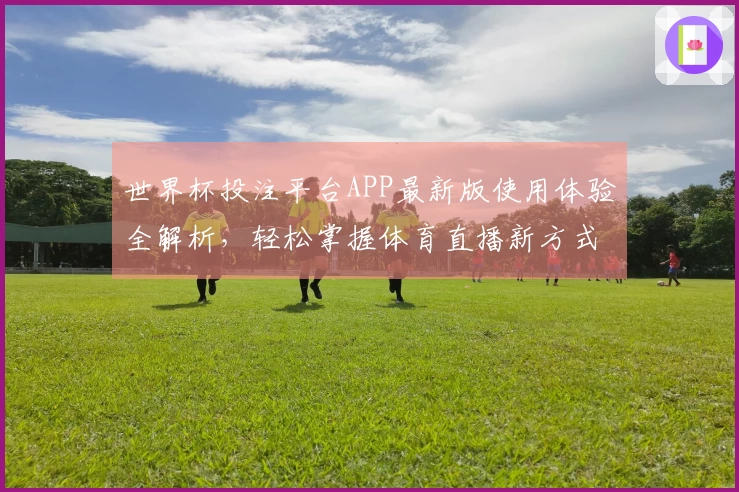 世界杯投注平台APP最新版使用体验全解析，轻松掌握体育直播新方式